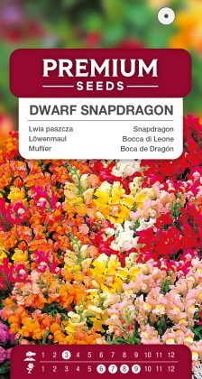 Dwarf Snapdragon Mixed – seeds