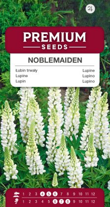 Lupine Noblemaiden – seeds