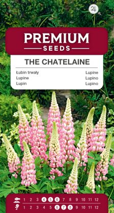 Lupine The Chatelaine – seeds