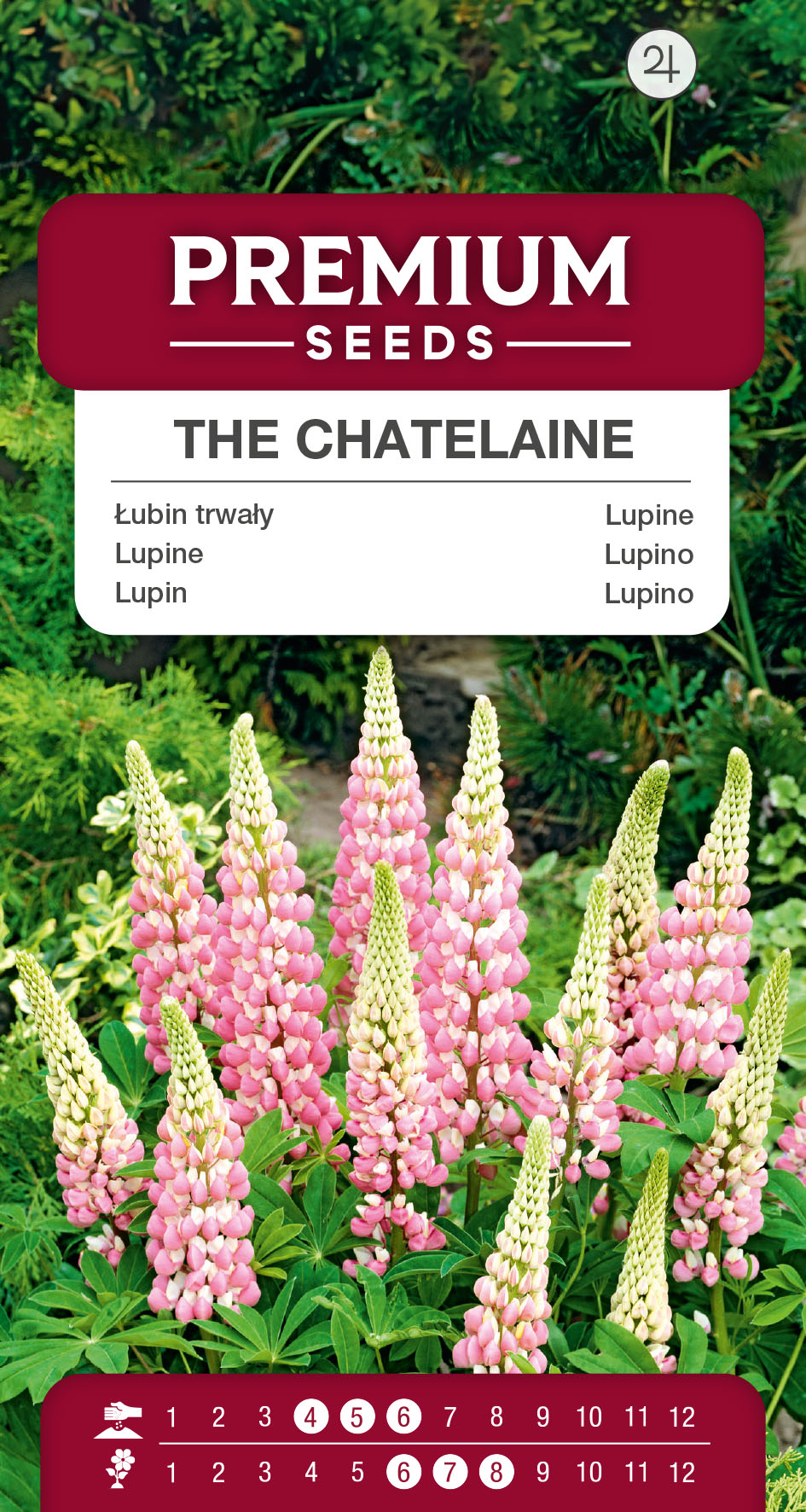 SWIA-WO-BL-12019_VS Lupine The Chatelaine – seeds