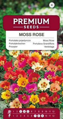 Moss Rose Mixed- seeds