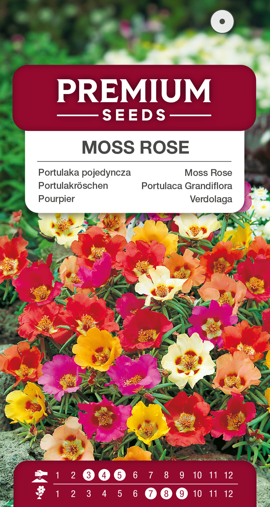 SWIA-WO-BL-12032_VS Moss Rose Mixed- seeds