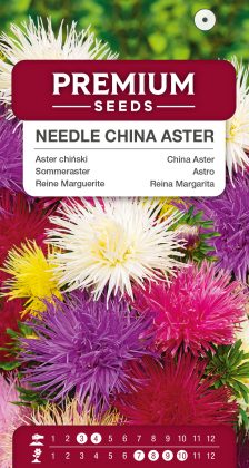 China Aster – Needle Mixed – seeds