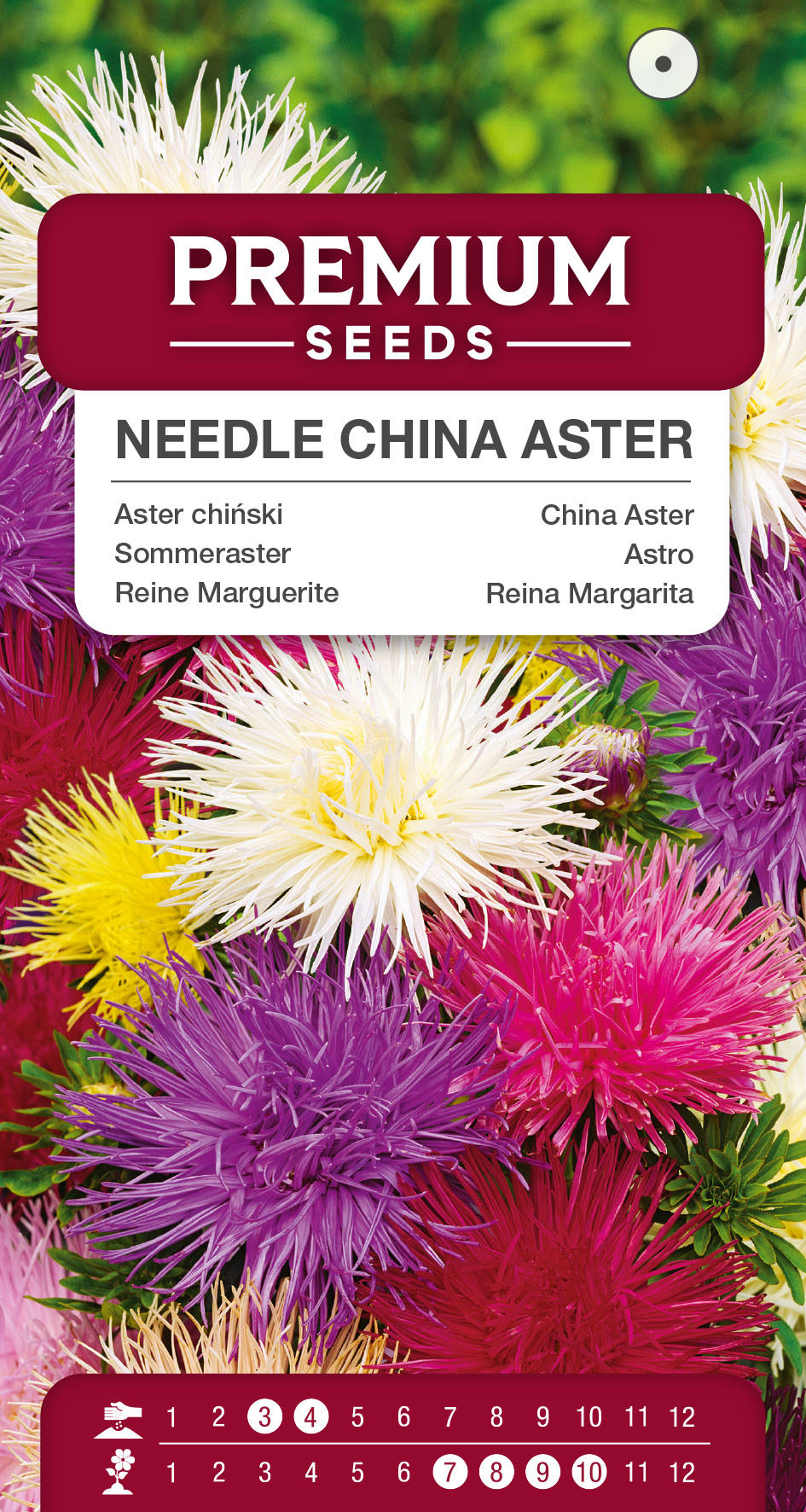 SWIA-WO-BL-12056_VS China Aster – Needle Mixed – seeds