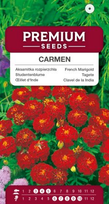 French Marigold Carmen – seeds