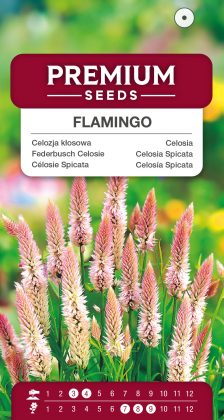 Celosia Flamingo – seeds