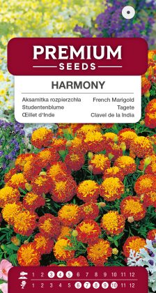 French Marigold Harmony – seeds