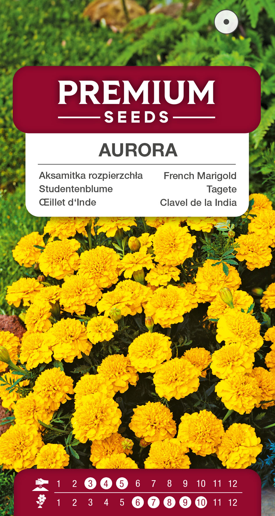 SWIA-WO-BL-12099_VS French Marigold Aurora – yellow – seeds
