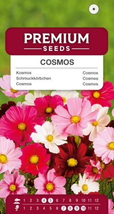 Cosmos Mixed – seeds
