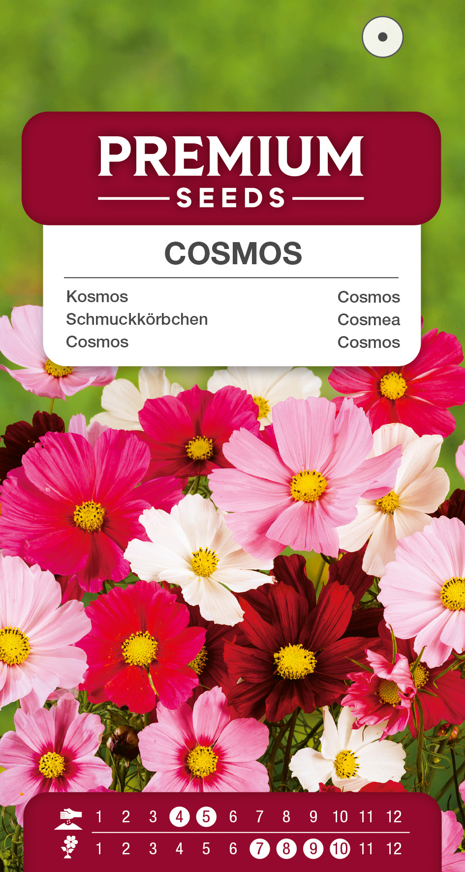 SWIA-WO-BL-12100_VS Cosmos Mixed – seeds