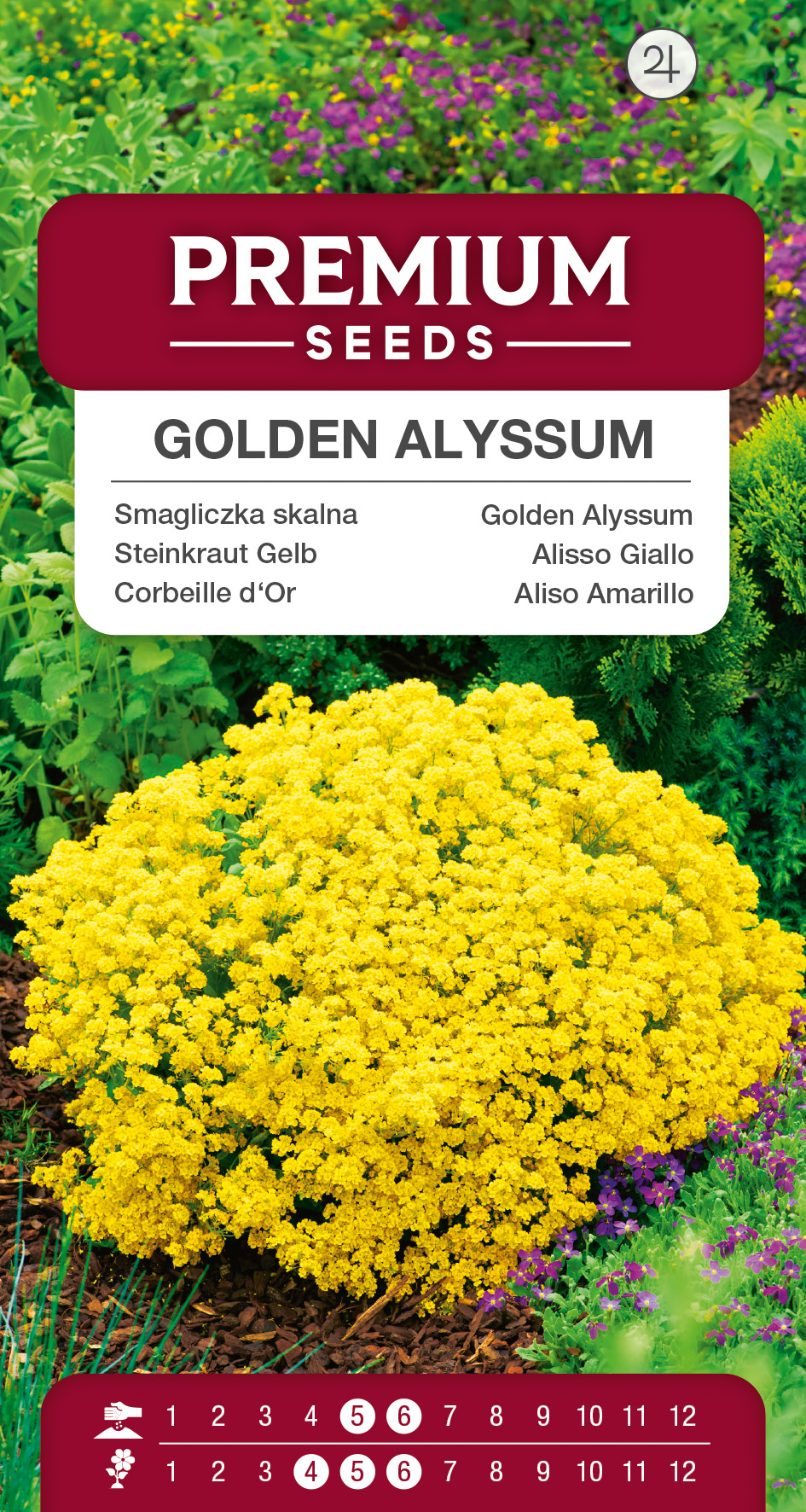 SWIA-WO-BL-12107_VS Golden Alyssum – seeds