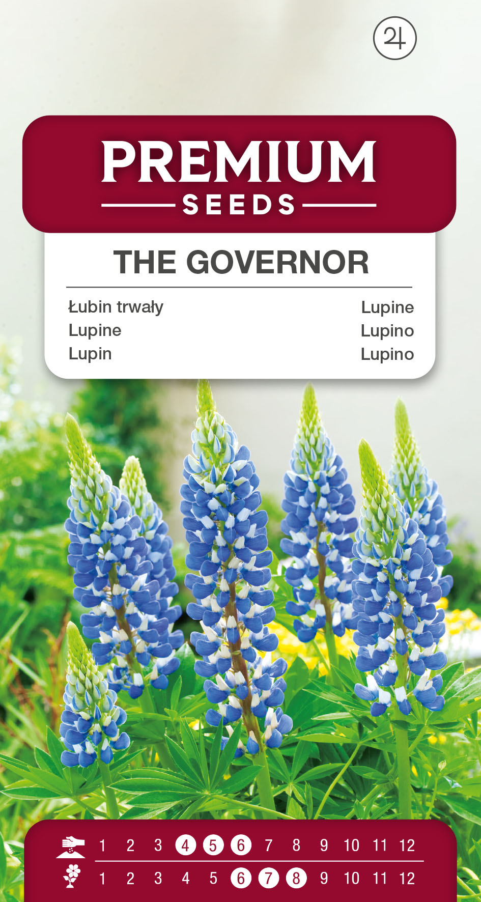 SWIA-WO-BL-12108_VS Lupine The Governor – seeds