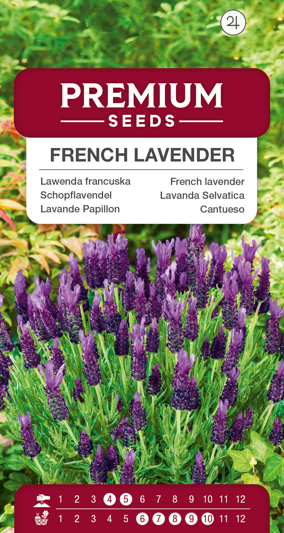SWIA-WO-BL-12133_VS French lavender – seeds