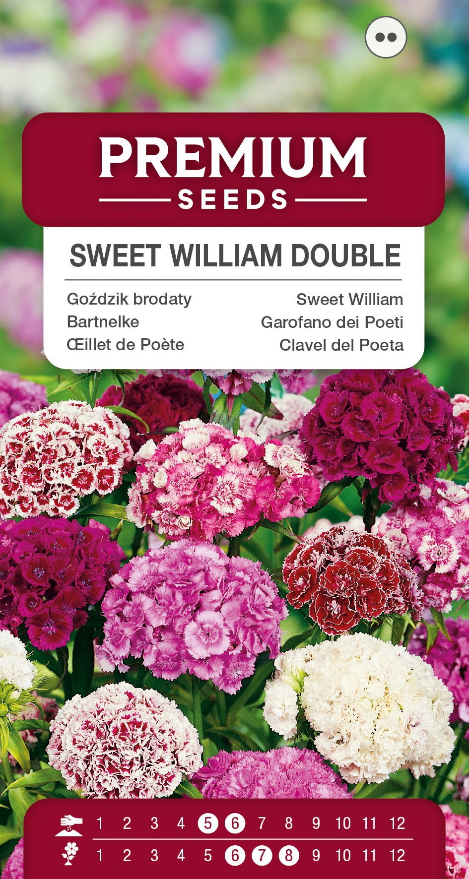SWIA-WO-BL-12151_VS Sweet William Double Mixed – seeds