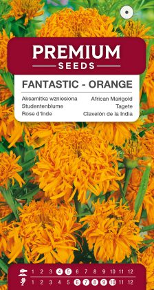 African Marigold Fantastic – Orange – seeds