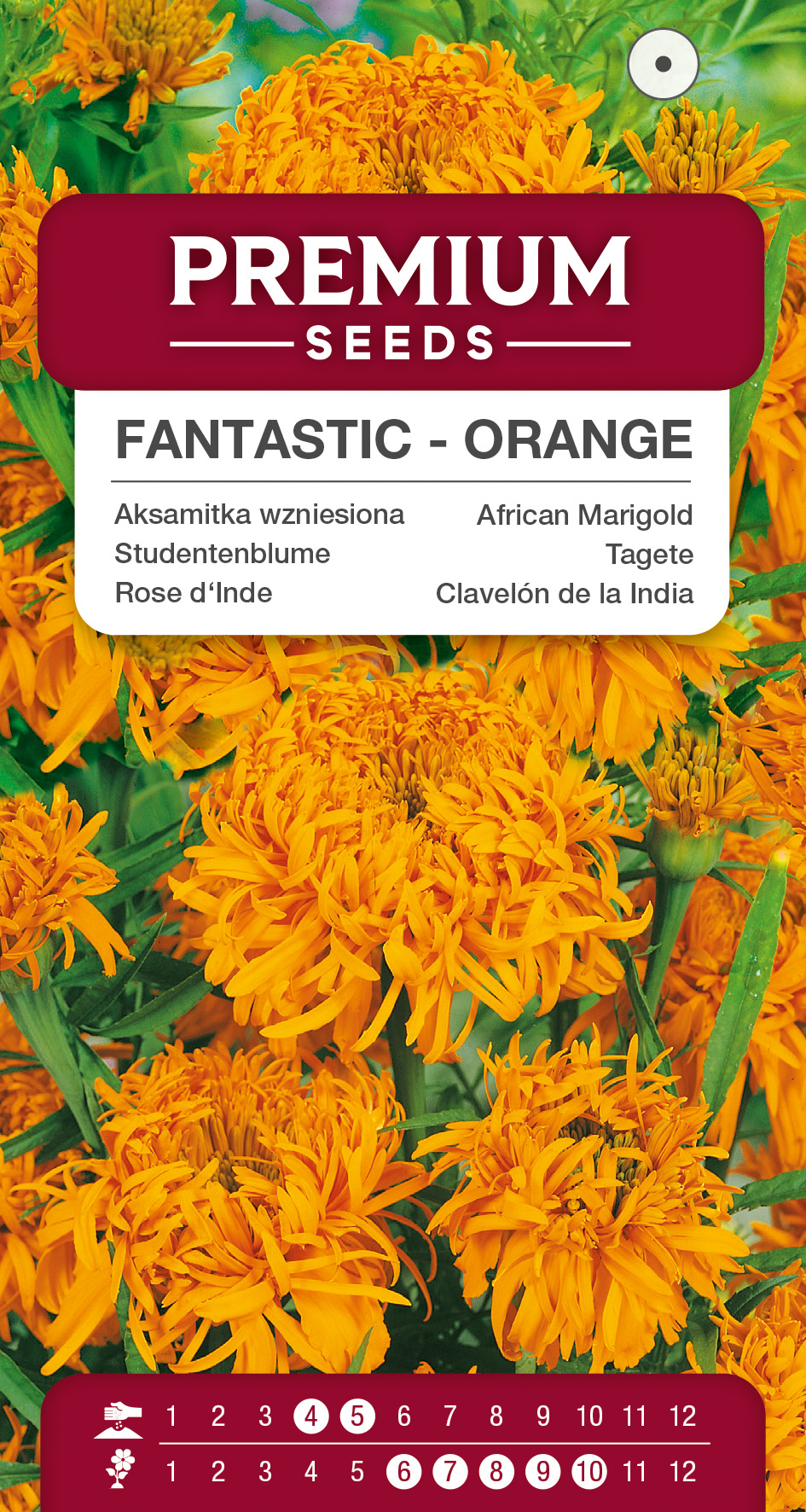 SWIA-WO-BL-12156_VS African Marigold Fantastic – Orange – seeds