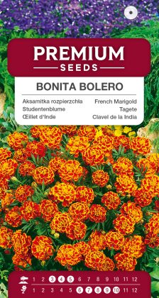 French Marigold Bonita Bolero – seeds