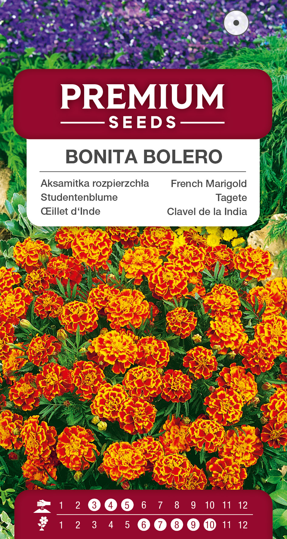 SWIA-WO-BL-12157_VS French Marigold Bonita Bolero – seeds