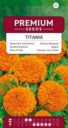 African Marigold Titania – seeds