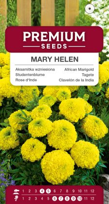 African Marigold Mary Helen – seeds