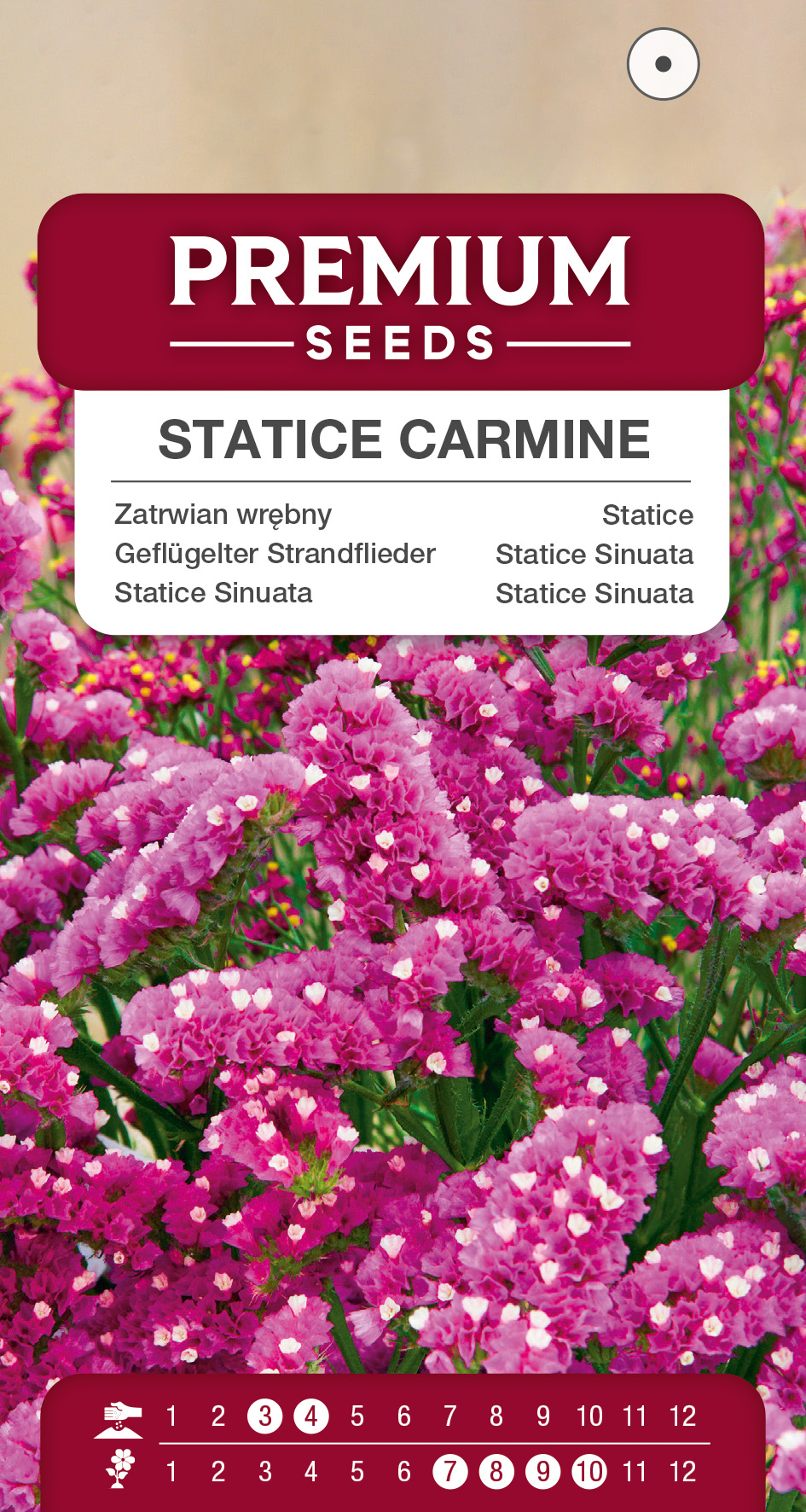 SWIA-WO-BL-12174_VS Statice Carmine – seeds