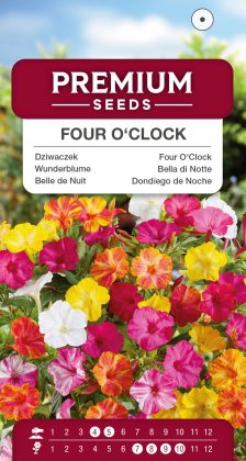 Four O’Clock – seeds