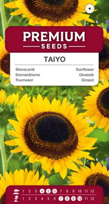 Sunflower – Taiyo – seeds