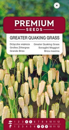 Greater Quaking Grass – seeds