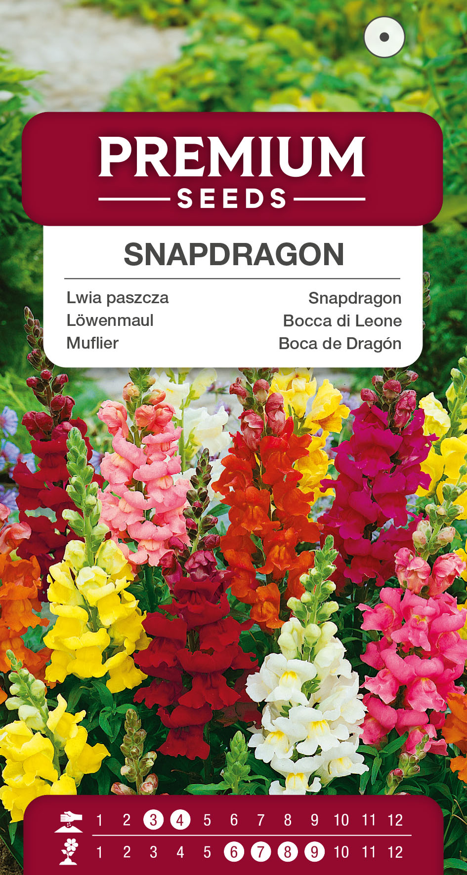 SWIA-WO-BL-12215_VS Snapdragon Mixed – seeds