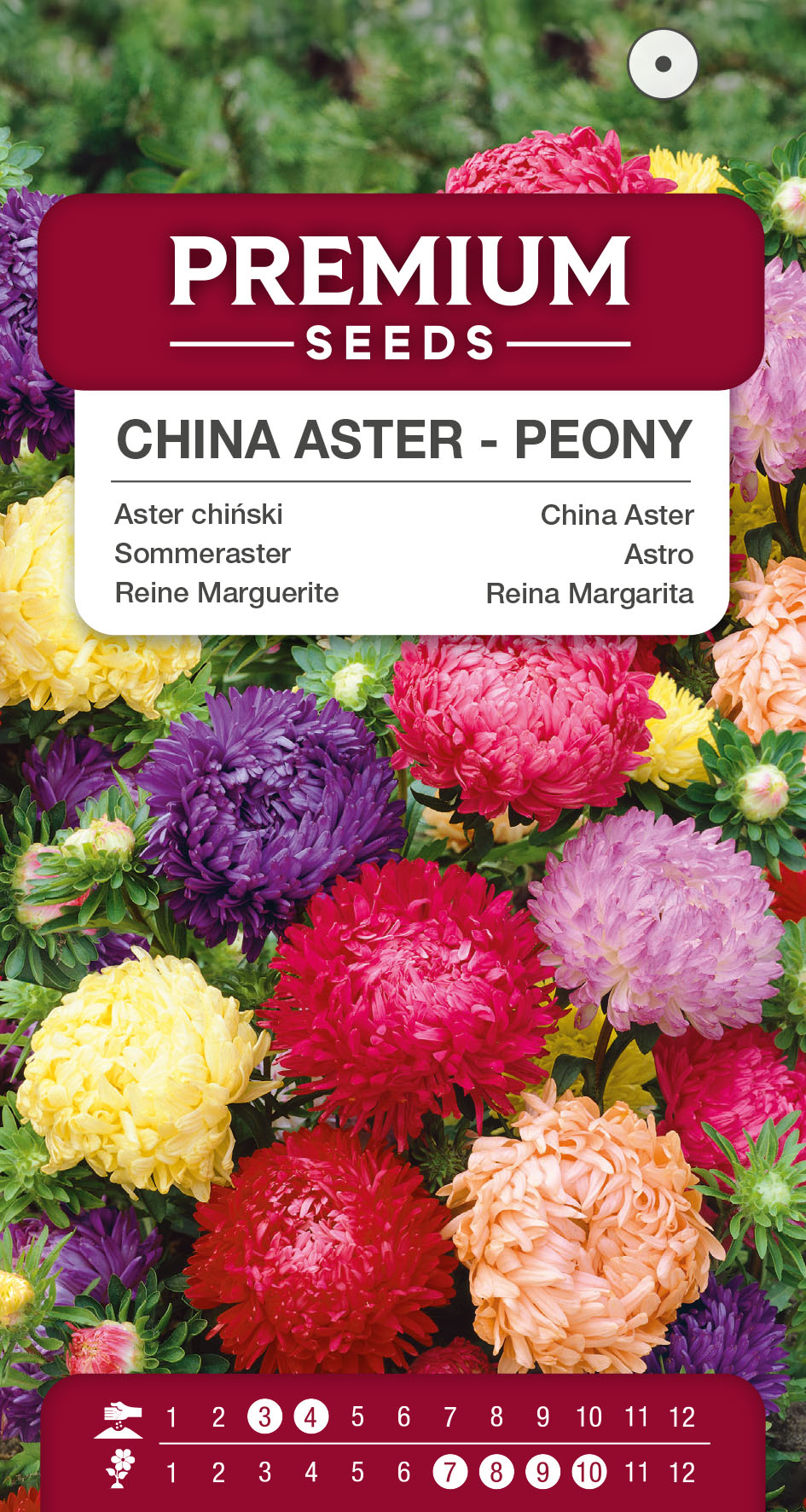SWIA-WO-BL-12217_VS China Aster – Peony Mixed – seeds