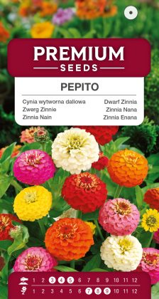 Dwarf Zinnia Pepito Mixed – seeds