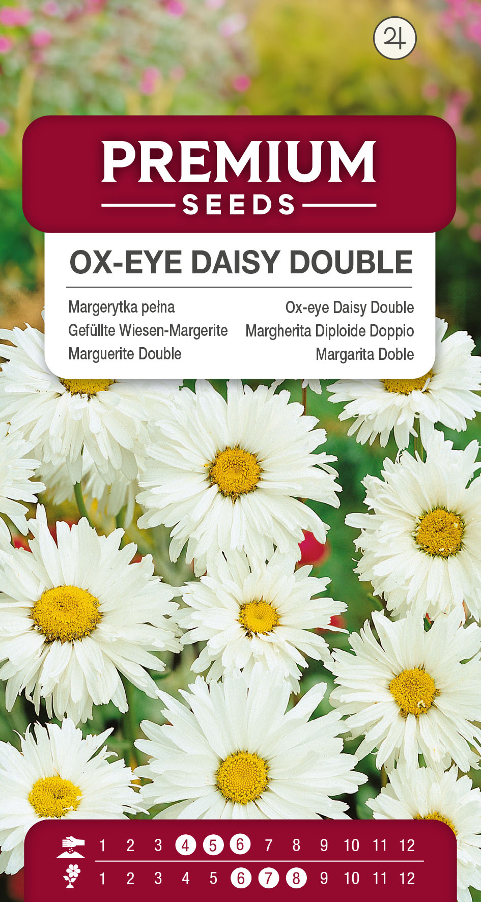 SWIA-WO-BL-12243_VS Ox-eye Daisy Double – seeds