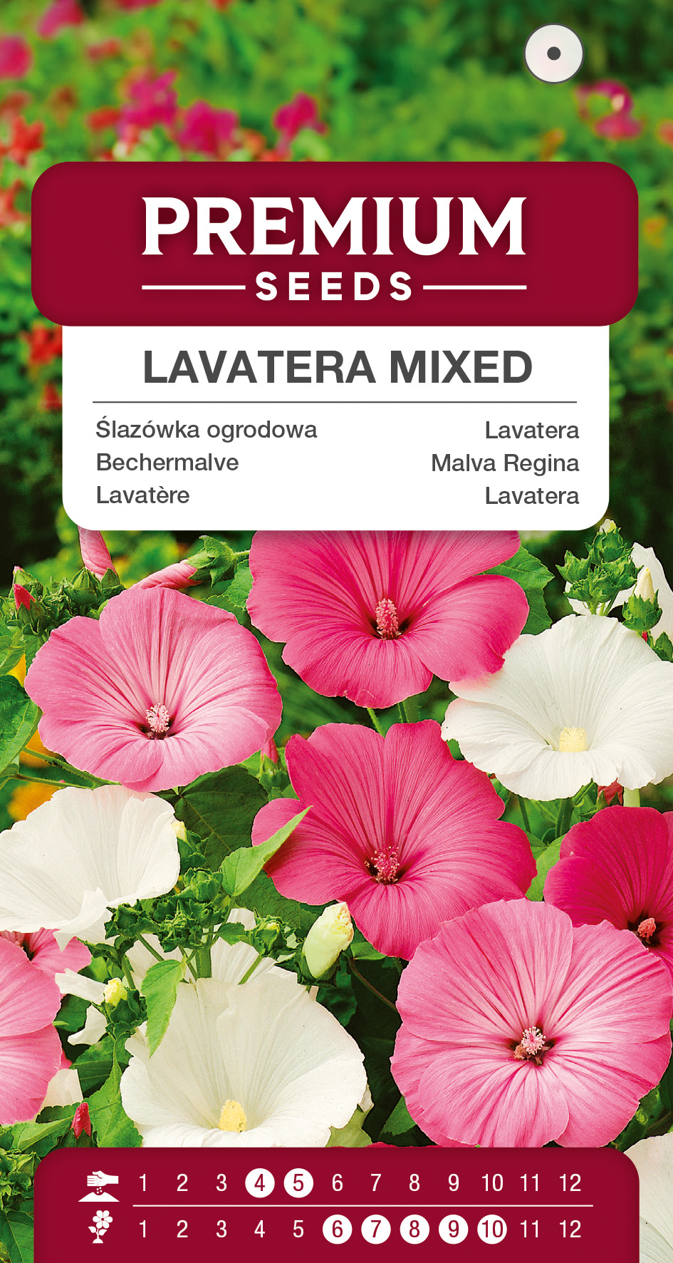 SWIA-WO-BL-12250_VS Lavatera Mixed – seeds