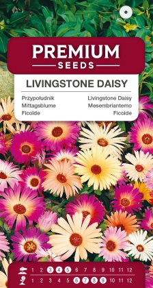 Livingstone Daisy Mixed – seeds