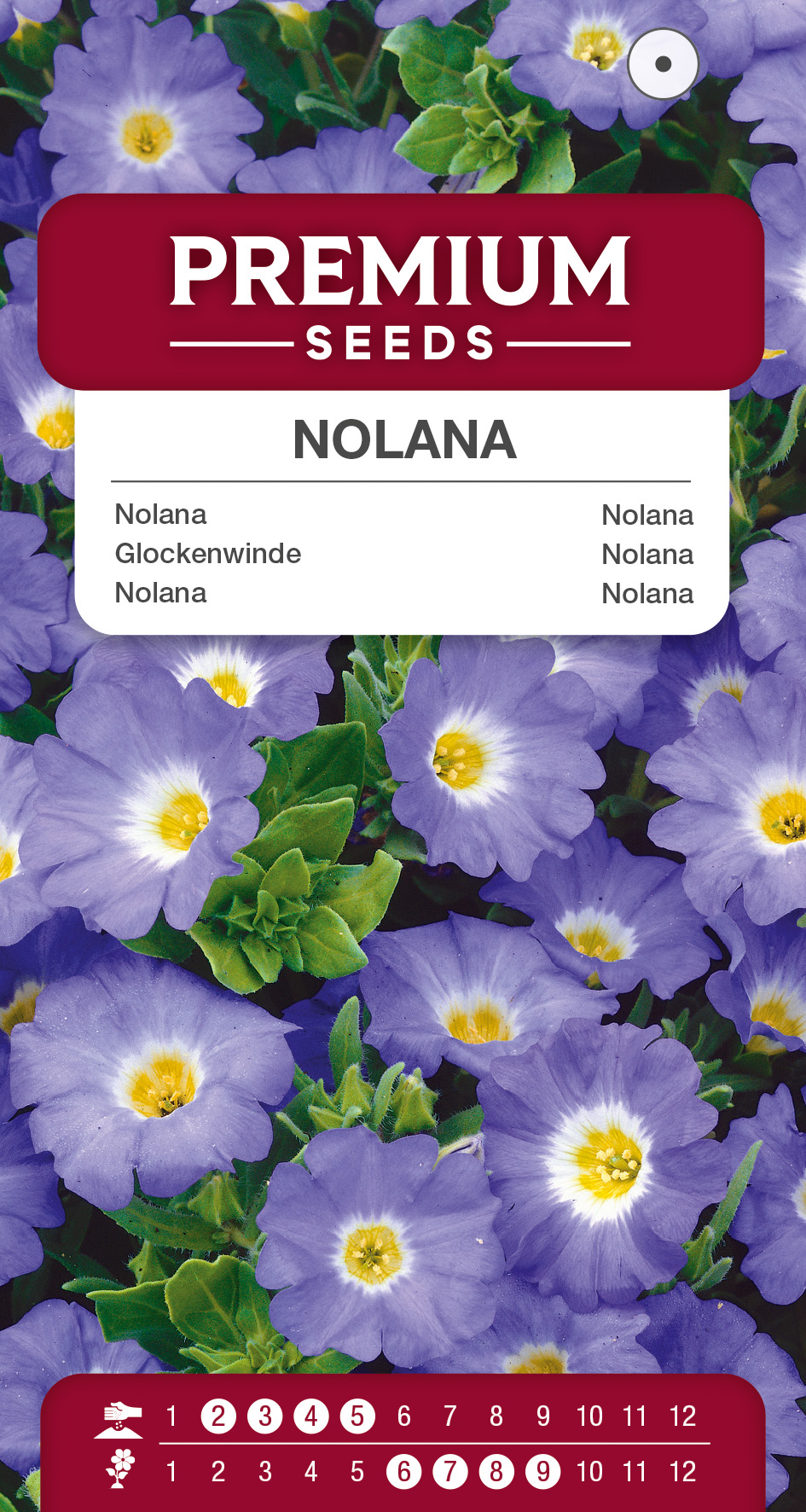 SWIA-WO-BL-12273_VS Nolana – seeds