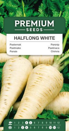 Parsnip Halflong White – seeds