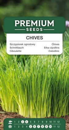 Chives – seeds
