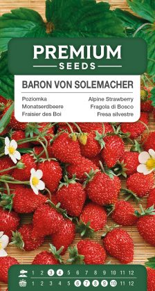 Alpine Strawberry – Baron von Solemacher – seeds