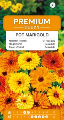 Pot marigold – seeds