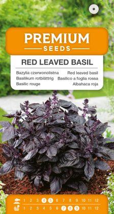 Red leaved basil – seeds