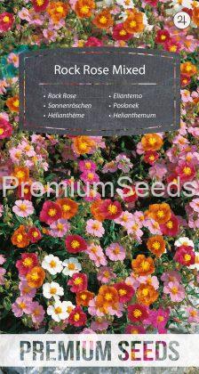 Rock Rose Mixed - seeds