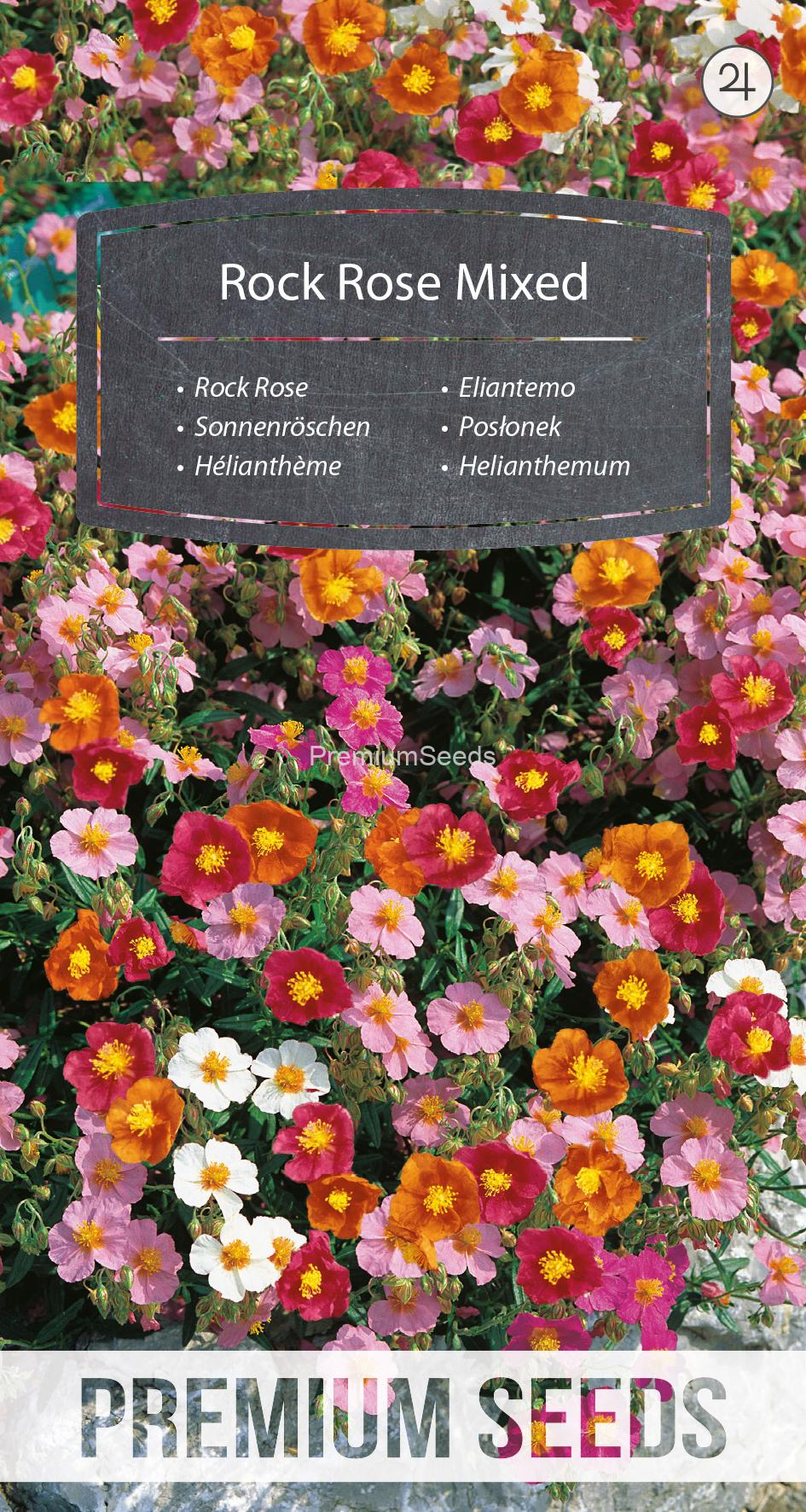 WORLD 10083923PA.indd Rock Rose Mixed - seeds