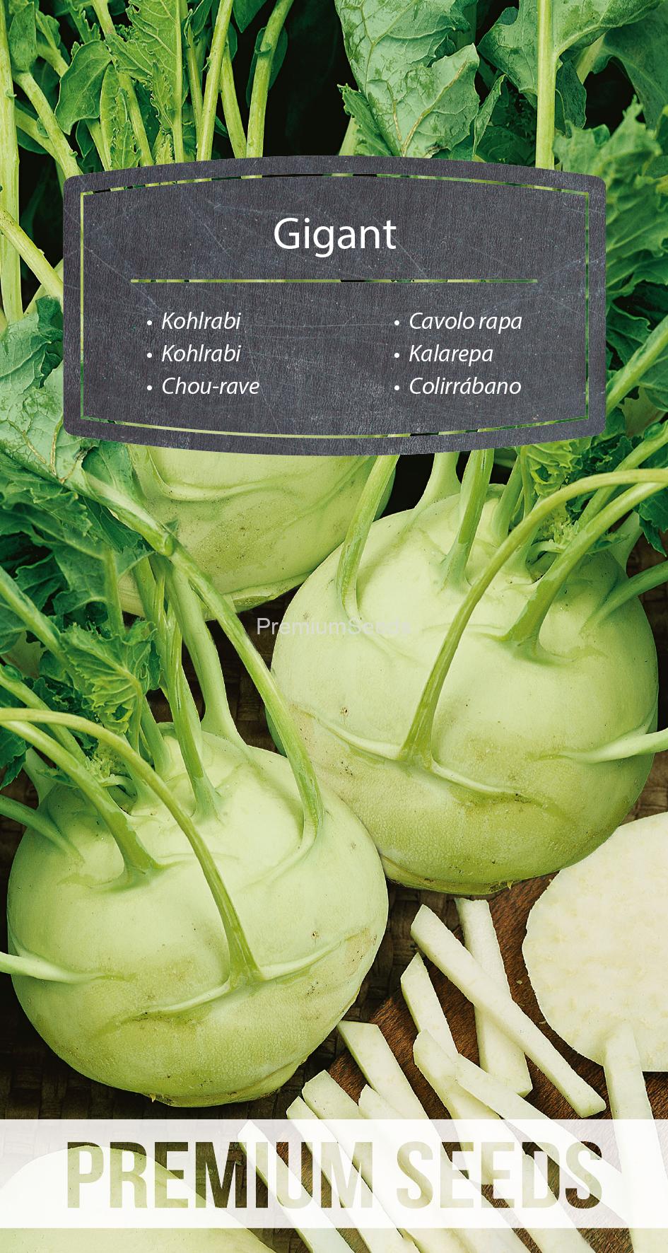 WORLD 10084486PA.indd Kohlrabi - Gigant - Samen