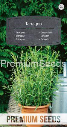 Tarragon - seeds