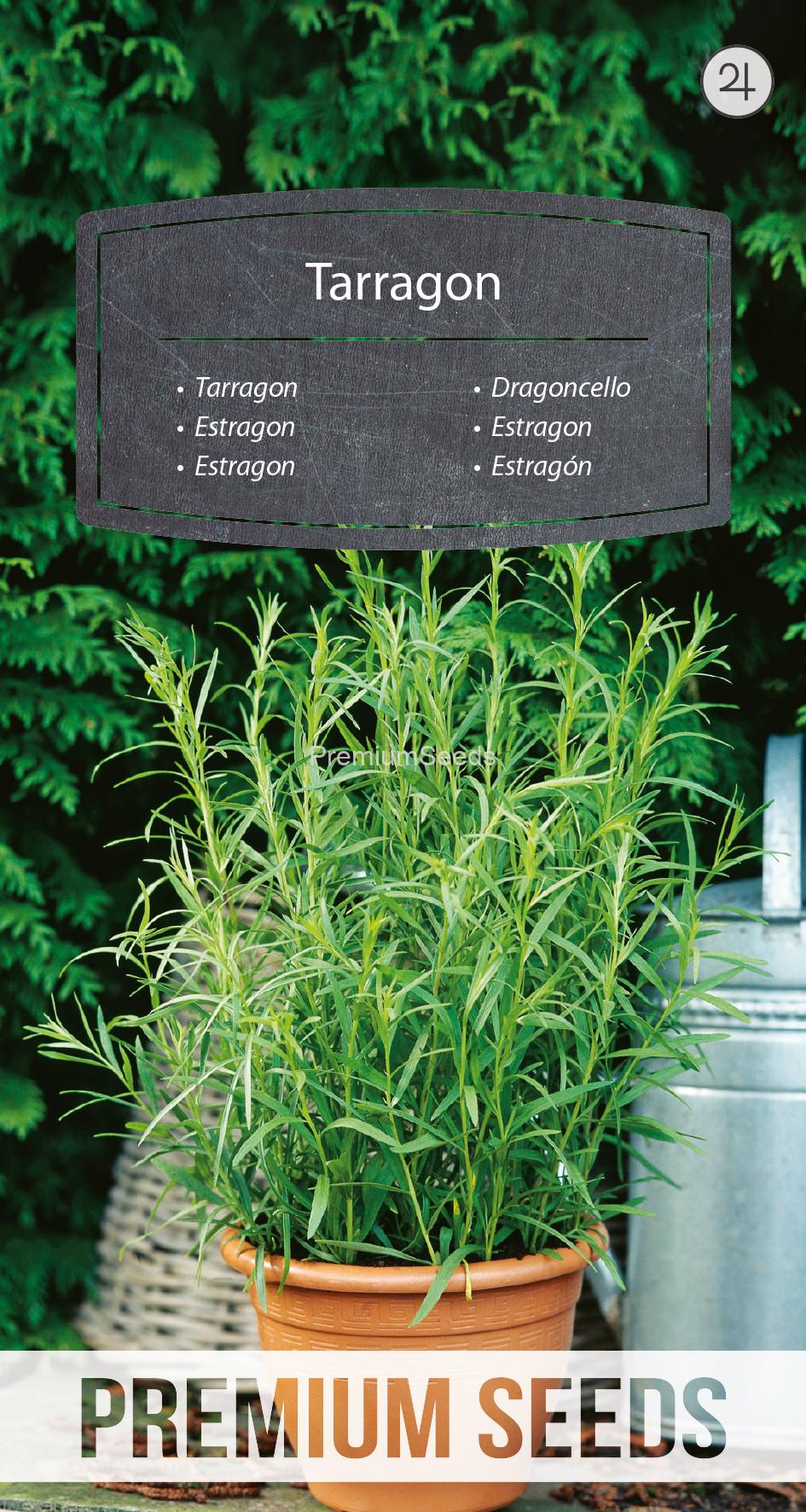 WORLD 10084833PA.indd Tarragon - seeds