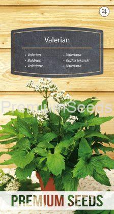 Valeriana - semi
