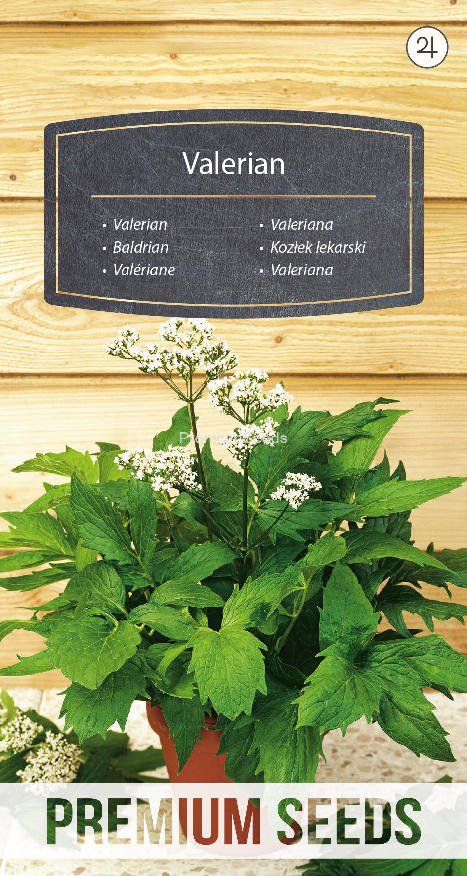 WORLD 10088488PA.indd Valerian - seeds