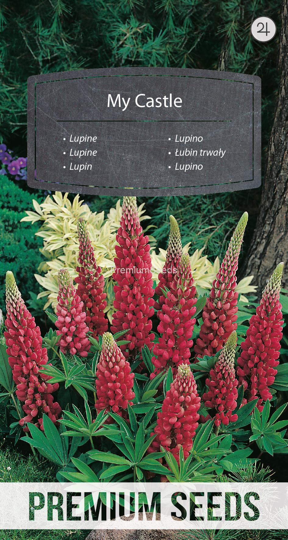 WORLD 13001897PA.indd Lupine My Castle - seeds