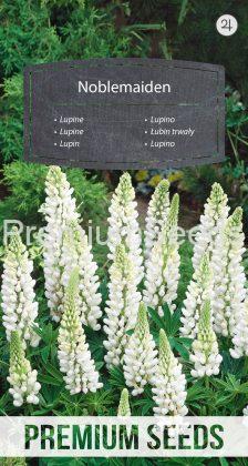 Lupine Noblemaiden - seeds