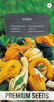 Coloquinte Indian mix - semences